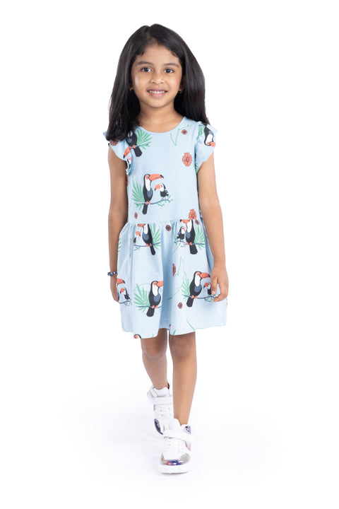 Ruffle Sleeves Cotton Frocks / Dress for Girls Kids