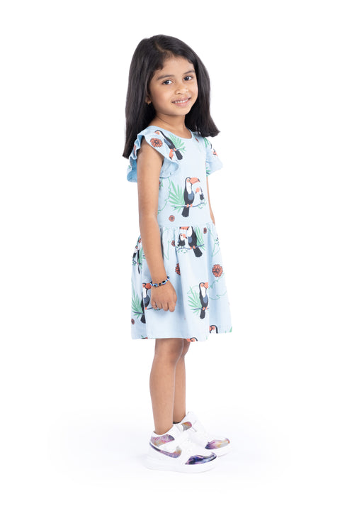 Ruffle Sleeves Cotton Frocks / Dress for Girls Kids